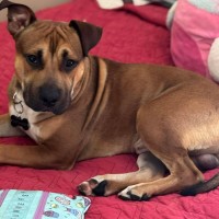 Photo of Barney