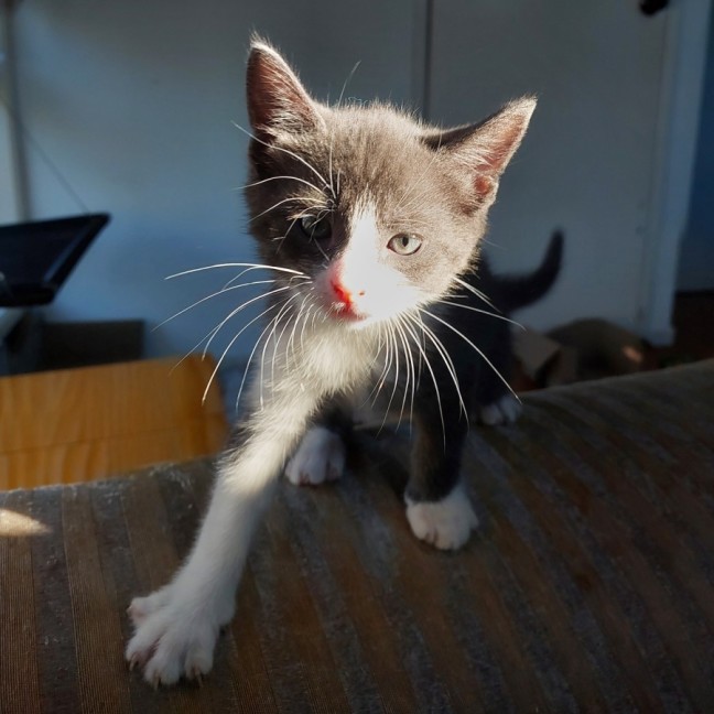 Photo of Vinnie