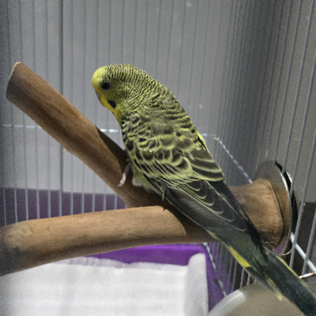 Photo of Shirley