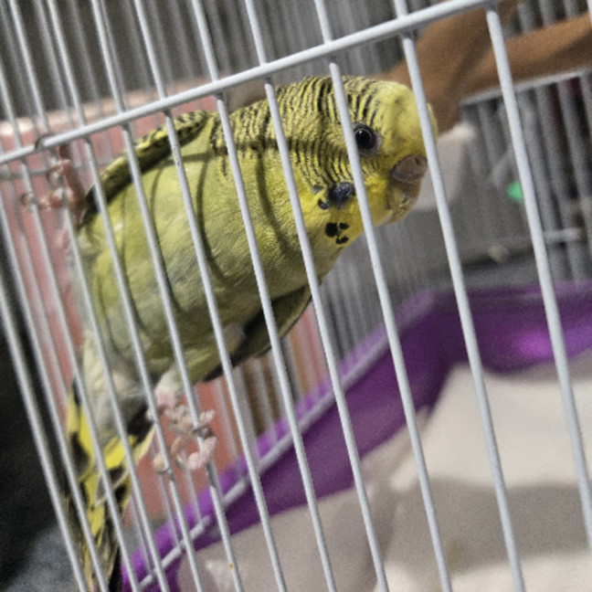 Photo of Shirley