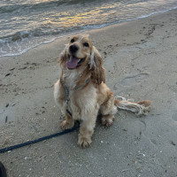 Photo of 💙 Ralph 💙