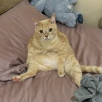 Photo of Carl