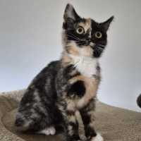Photo of Lulu