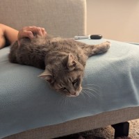Photo of Dusty