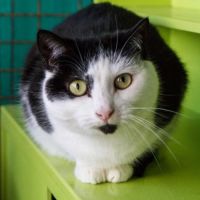 Photo of 💗 Amarina   Total Sweetheart 💗