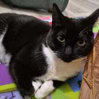 Photo of Benedict (Benny)