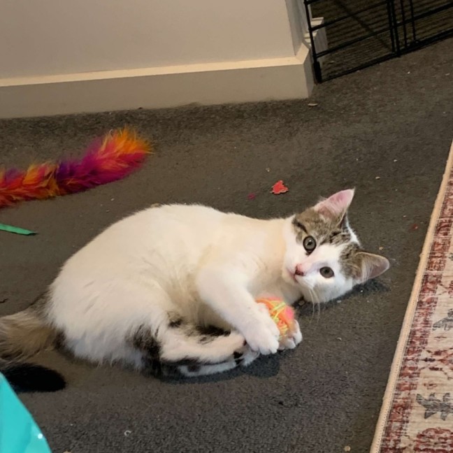 Photo of Johnny   Super Friendly