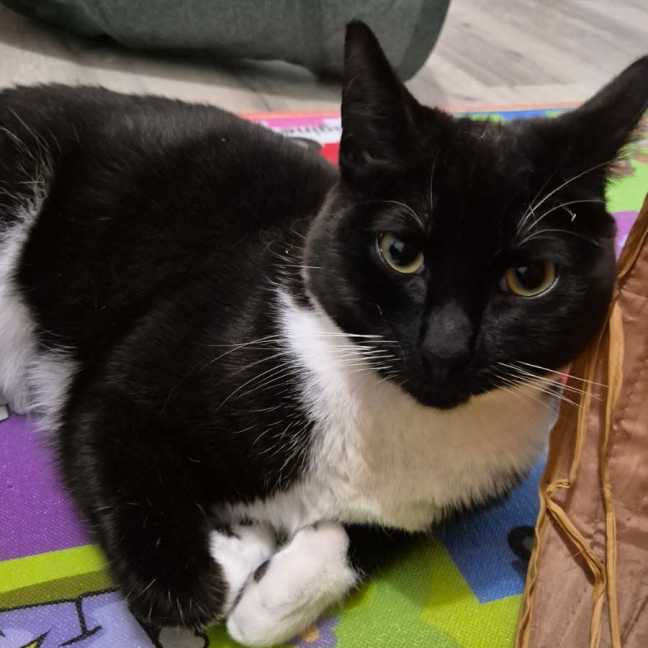 Photo of Benedict (Benny)