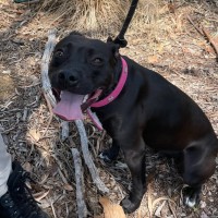 Photo of 🌿 Willow 5859 🌿