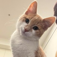 Photo of Bingo