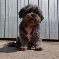 Photo of Bearboo And Melli