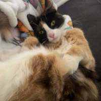 Photo of Marble   Meet Me @ Petstock Prahran