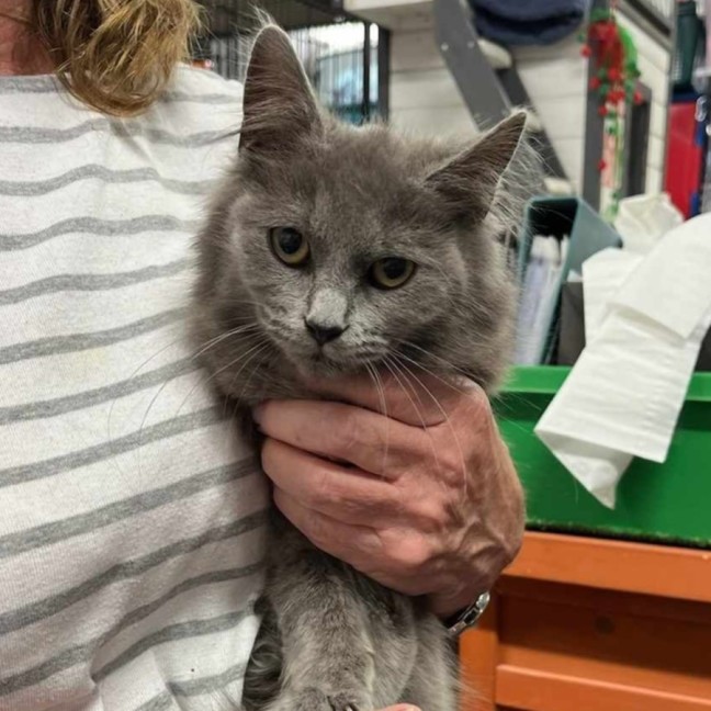 Photo of Juicy Fruit