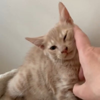 Photo of Fergus