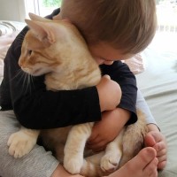 Photo of Henry   In Foster Care In Healesville