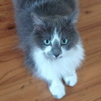 Photo of Marlo 