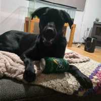 Photo of Zarah