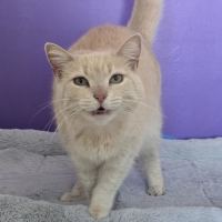 Photo of Luna