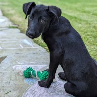Photo of Ayla