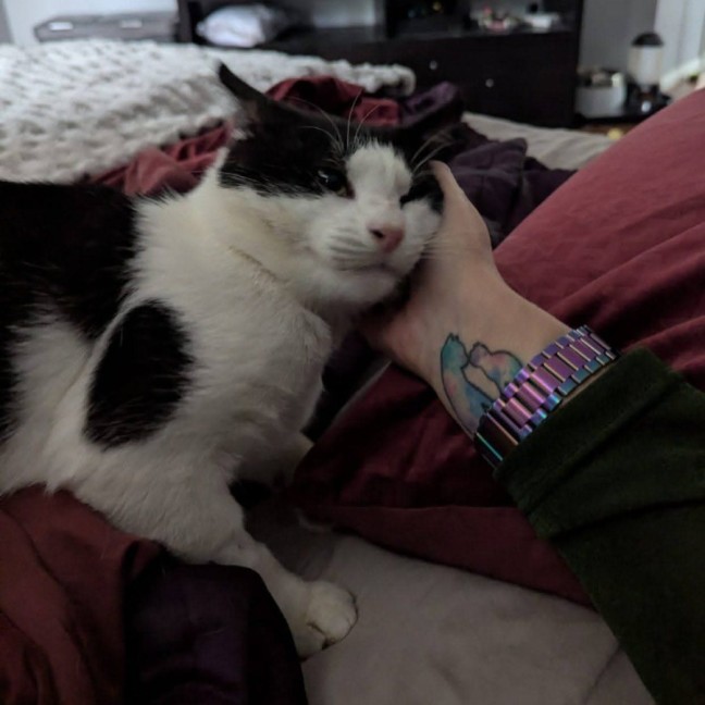 Photo of Chatty
