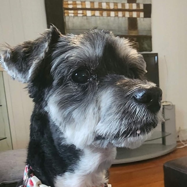 Photo of Tiny 
