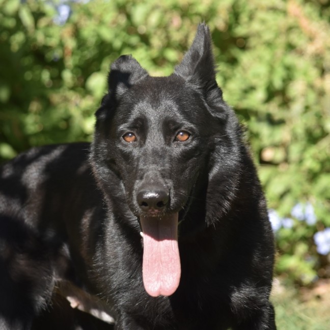 Photo of Storm
