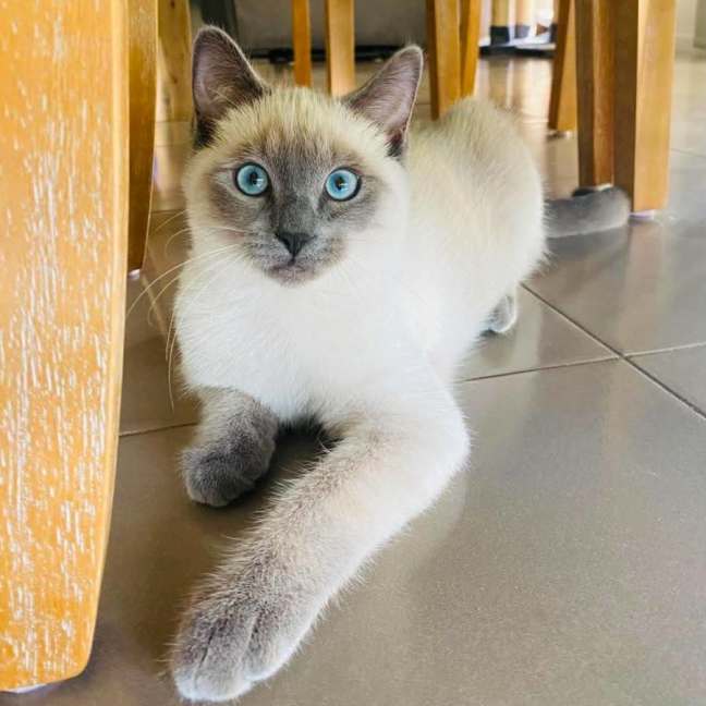 Photo of Teddy
