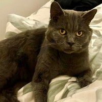 Photo of Patapoof