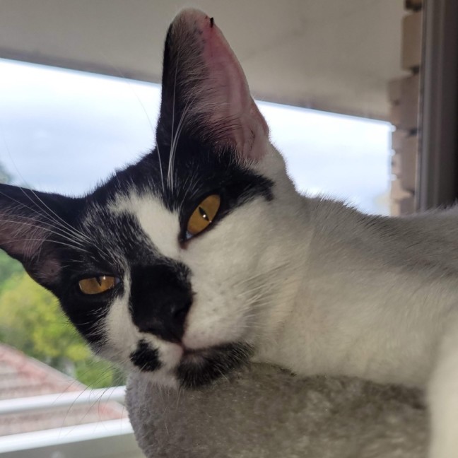 Photo of Manny