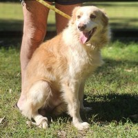 Photo of Jasper