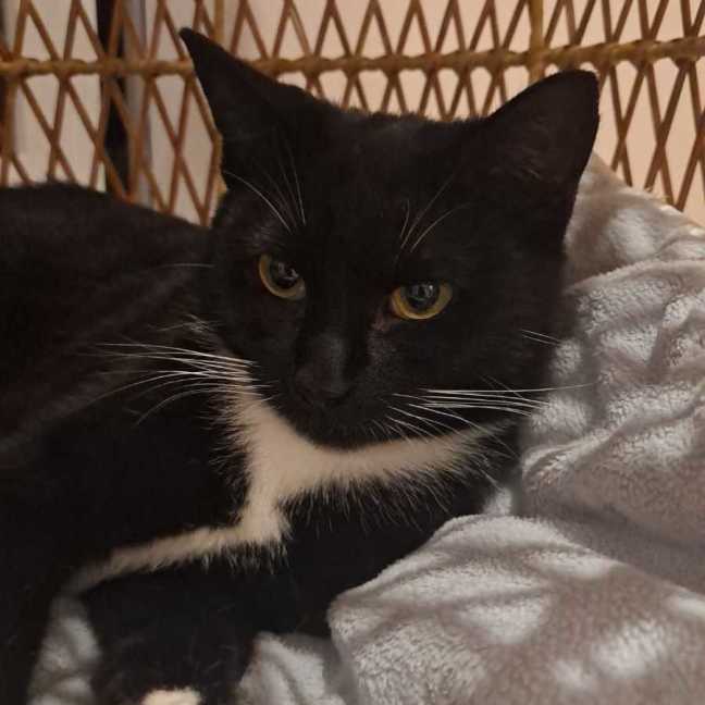 Photo of Mitzy