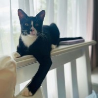 Photo of Maverick 