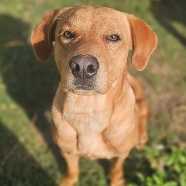 Photo of Hershey