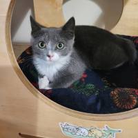 Photo of Cindy Bear