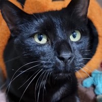 Photo of Reggie