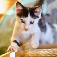 Photo of 🐭 Mickey 🐭