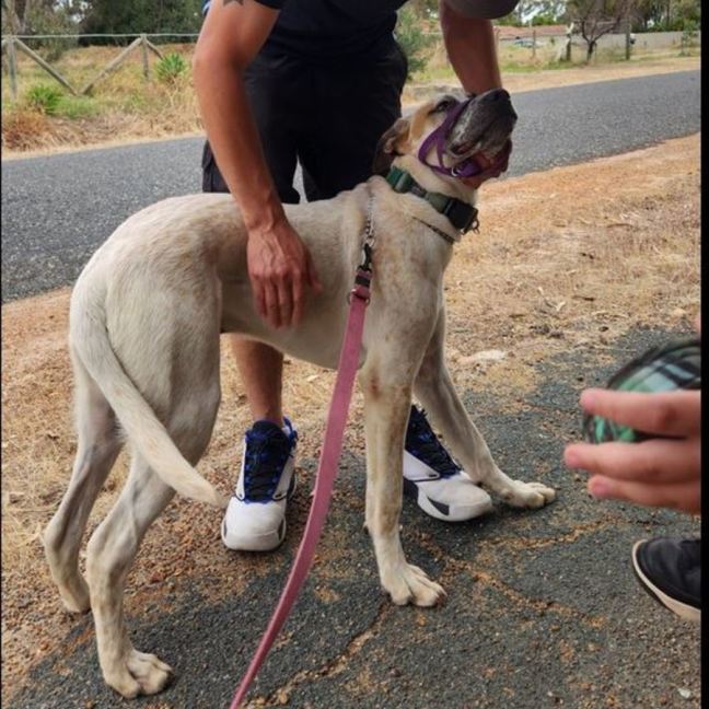 Photo of Ricky Bobby