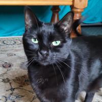 Photo of Sara & Marley