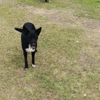 Photo of Sophie