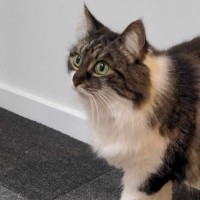 Photo of Jeannie! 😻