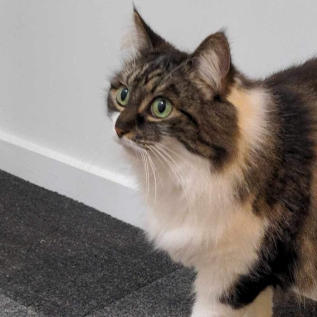 Photo of Jeannie! 😻