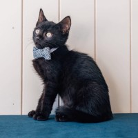 Photo of Spud