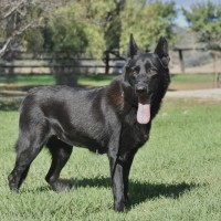 Photo of Storm