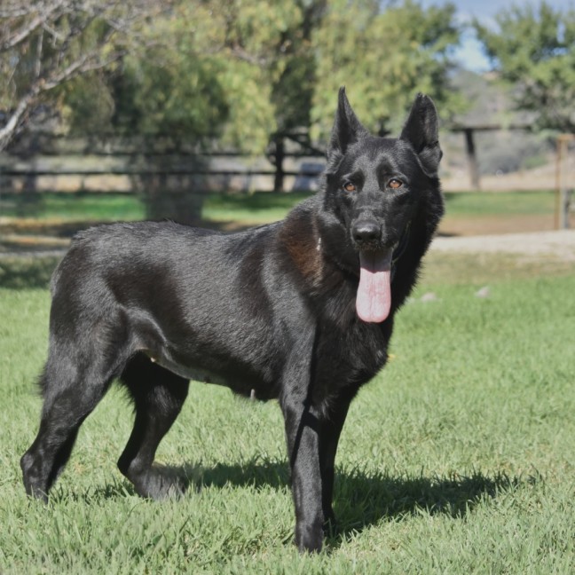 Photo of Storm