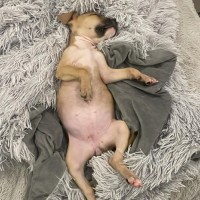 Photo of Tiny
