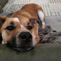 Photo of Sally Brown