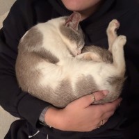 Photo of Jelly Bean