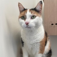 Photo of C1494 Tilly