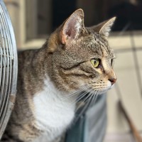 Photo of Lucy