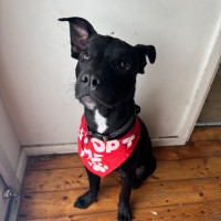 Photo of Elfie